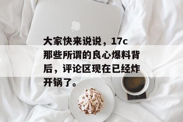 大家快来说说,17c那些所谓的良心爆料背后,评论区现在已经炸开锅了。